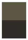 Raw Umber  4oz