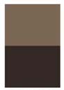 Burnt Umber 4oz